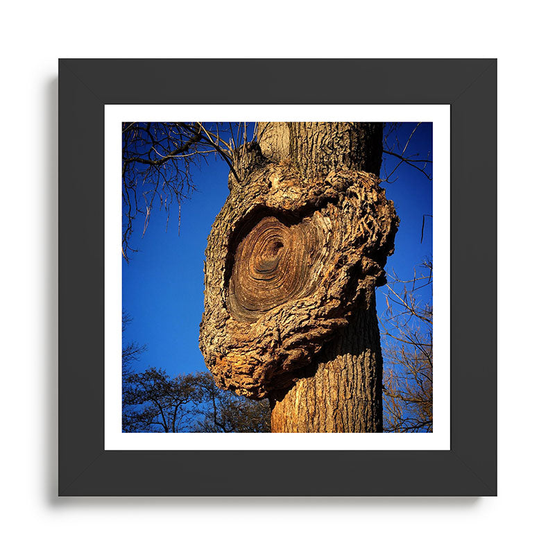 "Broken/hearted" by Maria Popova Framed Art Print