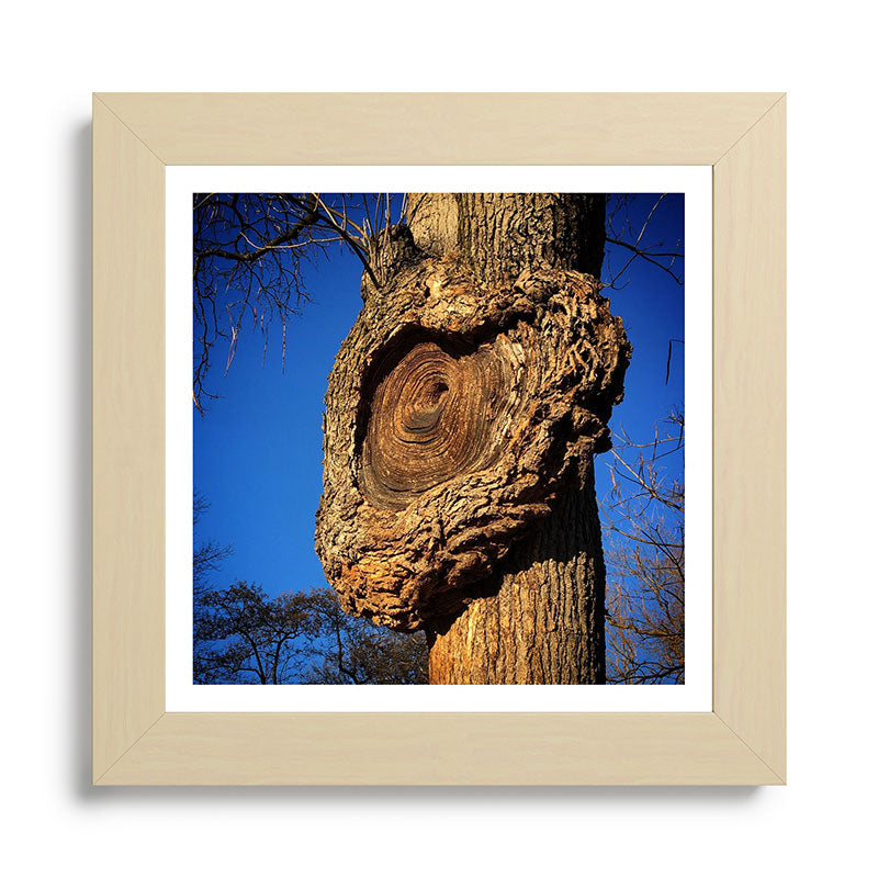 "Broken/hearted" by Maria Popova Framed Art Print