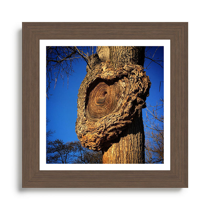 "Broken/hearted" by Maria Popova Framed Art Print