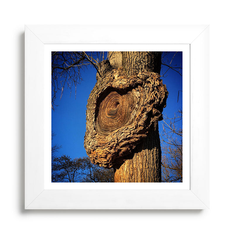 "Broken/hearted" by Maria Popova Framed Art Print