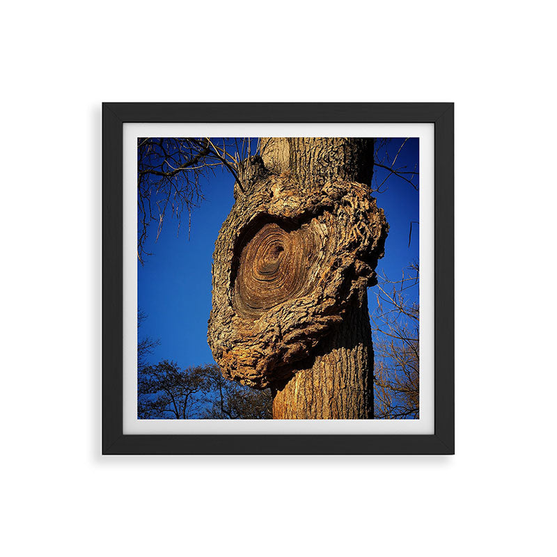 "Broken/hearted" by Maria Popova Framed Art Print