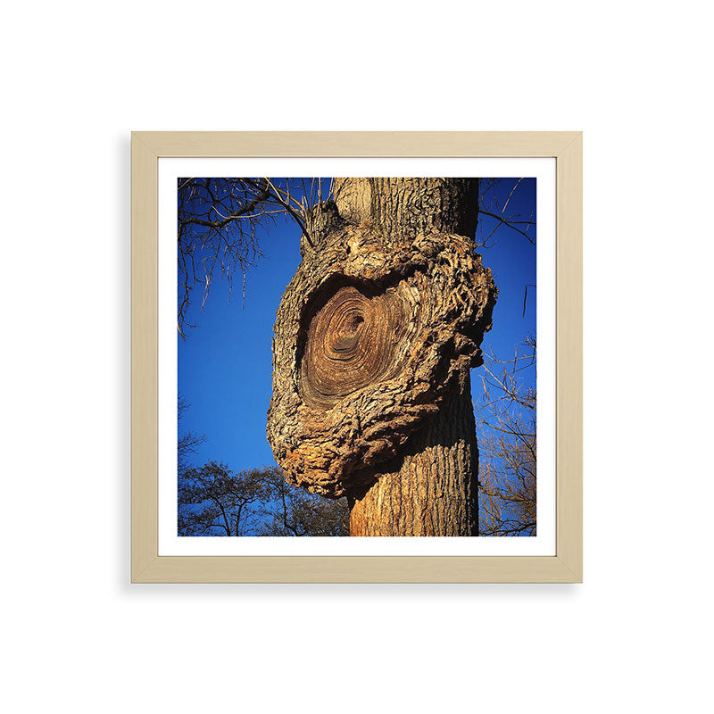 "Broken/hearted" by Maria Popova Framed Art Print