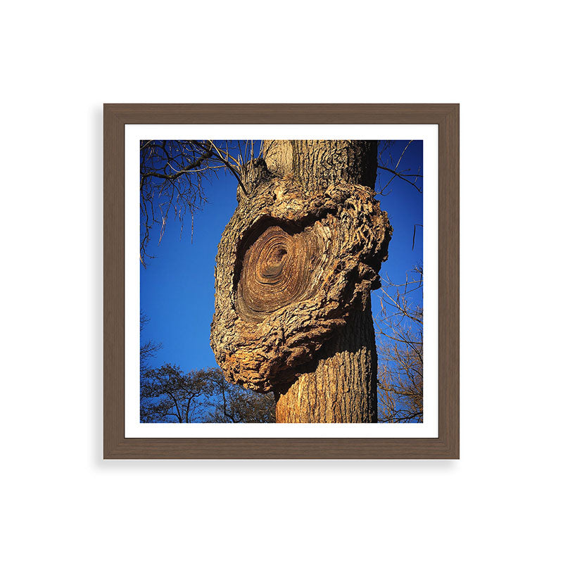 "Broken/hearted" by Maria Popova Framed Art Print