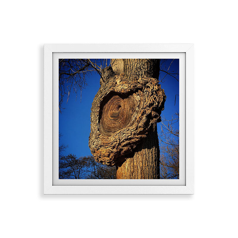 "Broken/hearted" by Maria Popova Framed Art Print