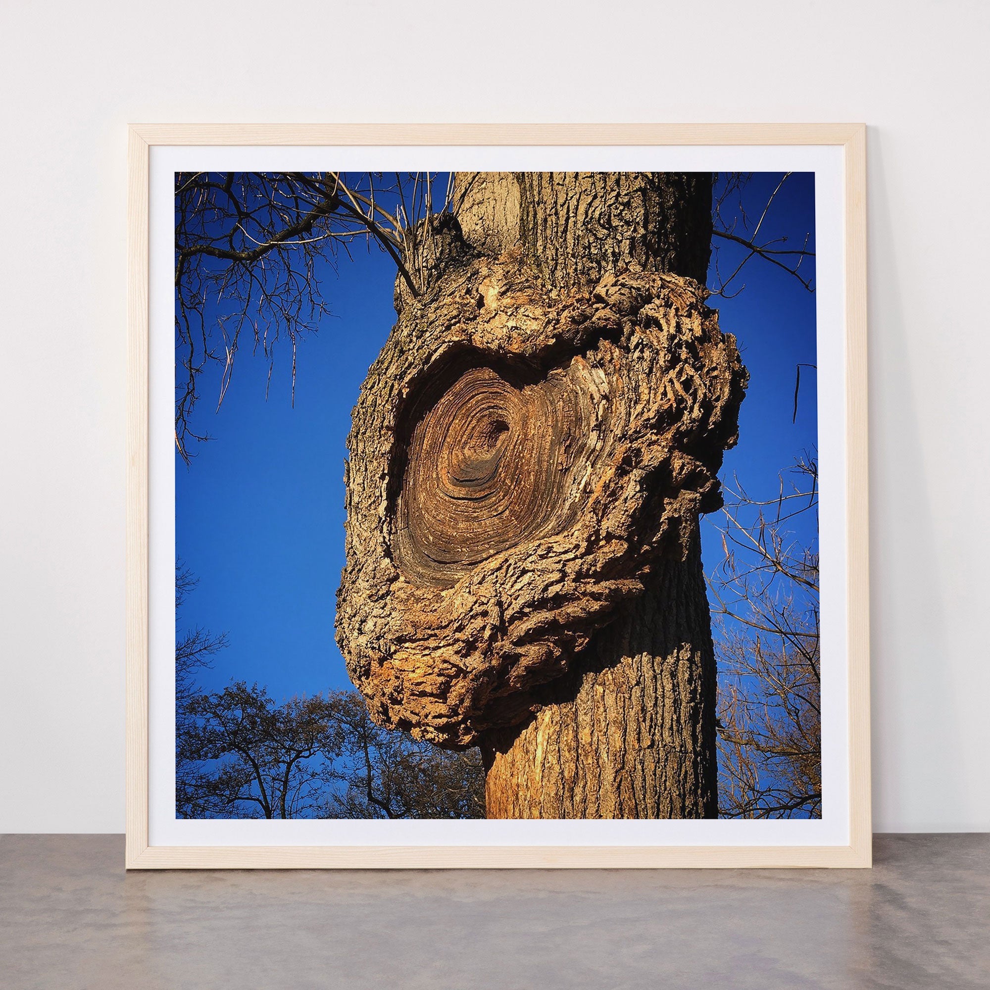 "Broken/hearted" by Maria Popova Framed Art Print