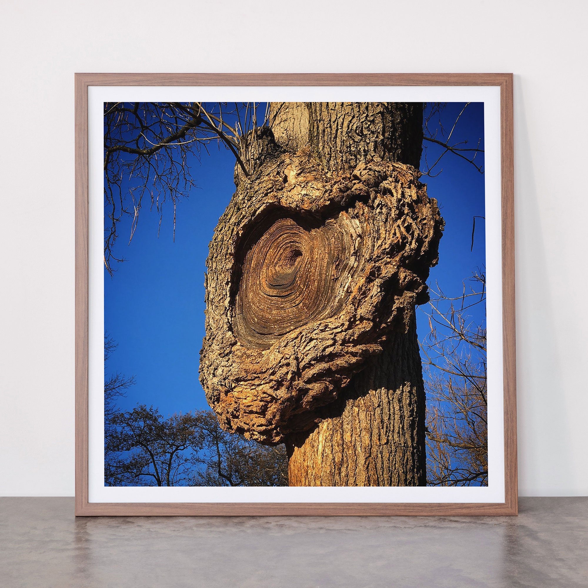 "Broken/hearted" by Maria Popova Framed Art Print