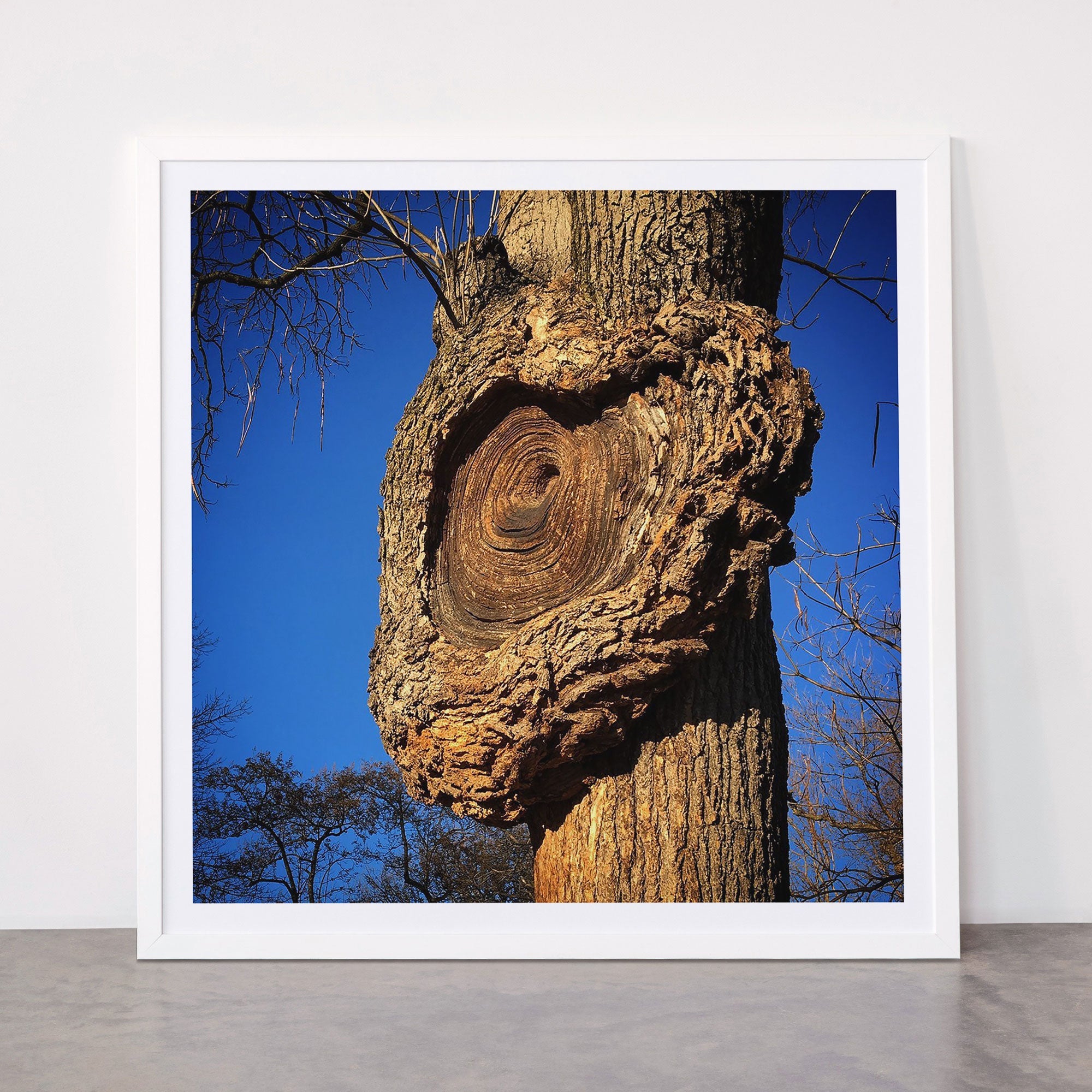 "Broken/hearted" by Maria Popova Framed Art Print