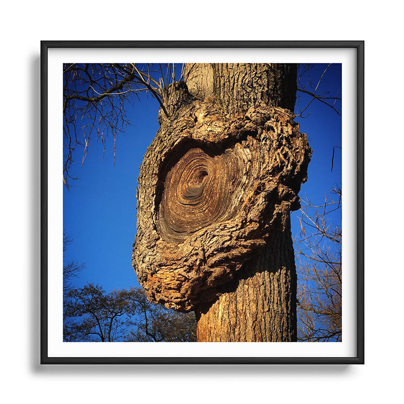 "Broken/hearted" by Maria Popova Framed Art Print