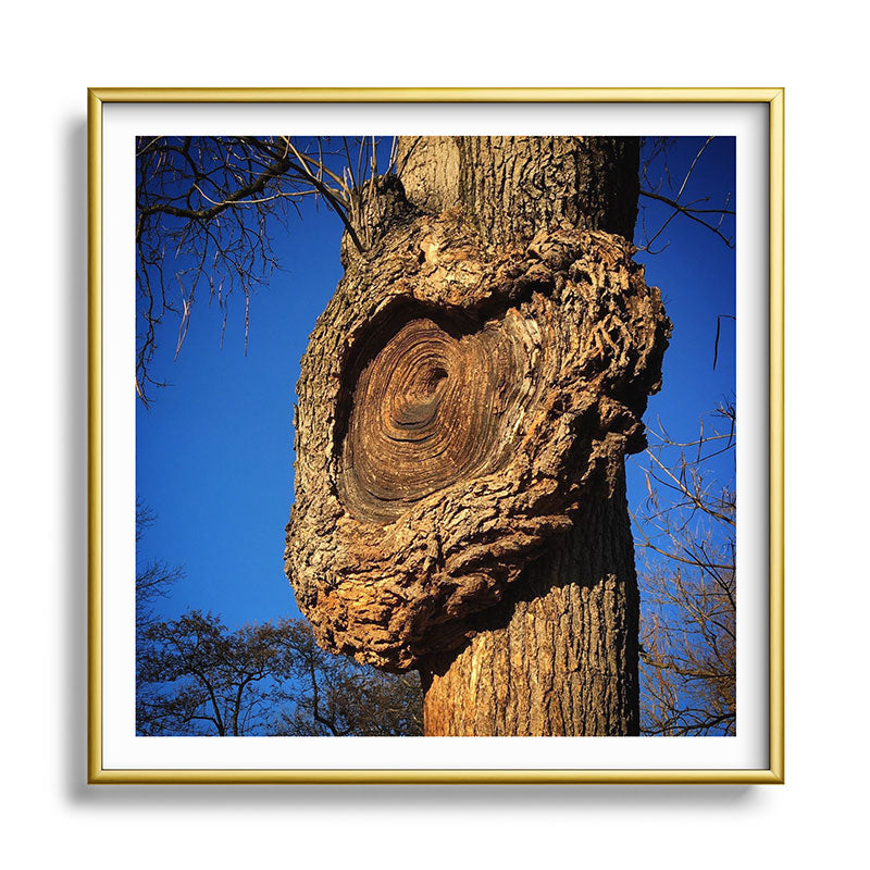 "Broken/hearted" by Maria Popova Framed Art Print