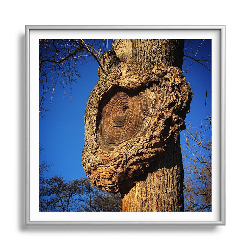 "Broken/hearted" by Maria Popova Framed Art Print
