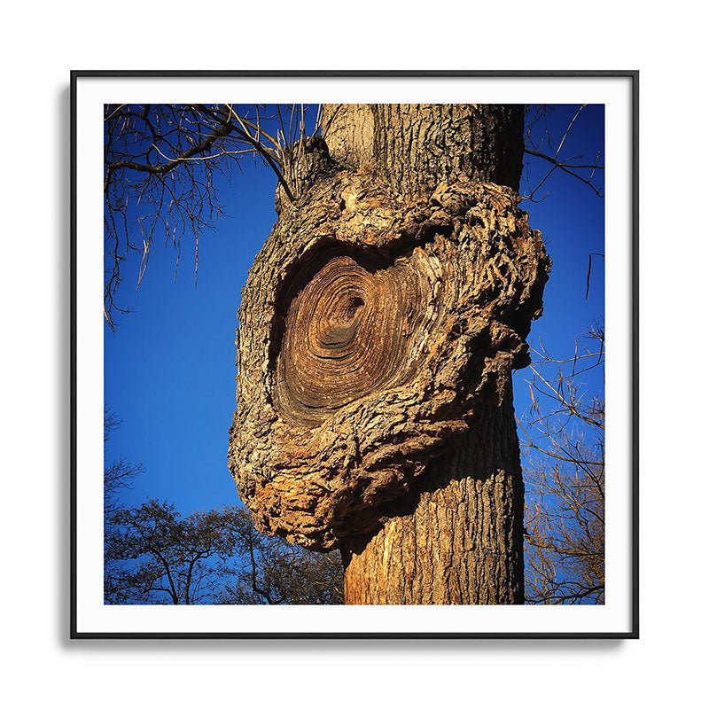 "Broken/hearted" by Maria Popova Framed Art Print