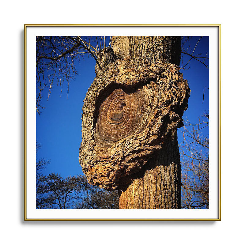"Broken/hearted" by Maria Popova Framed Art Print