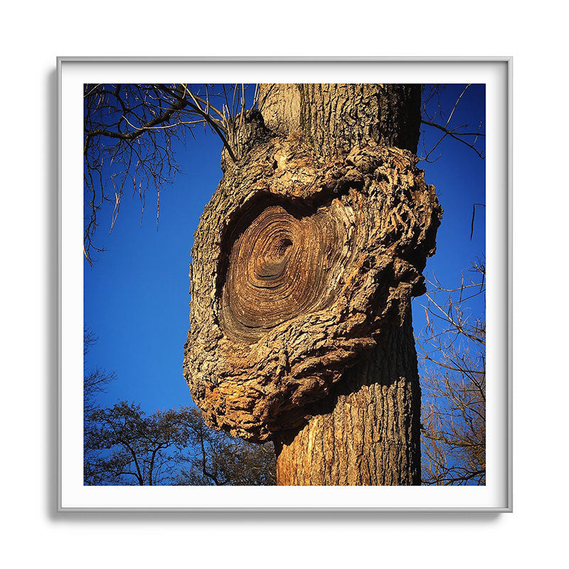 "Broken/hearted" by Maria Popova Framed Art Print