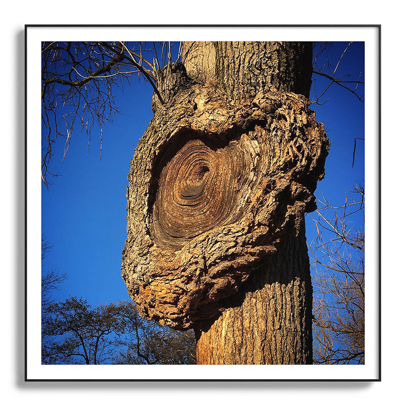 "Broken/hearted" by Maria Popova Framed Art Print