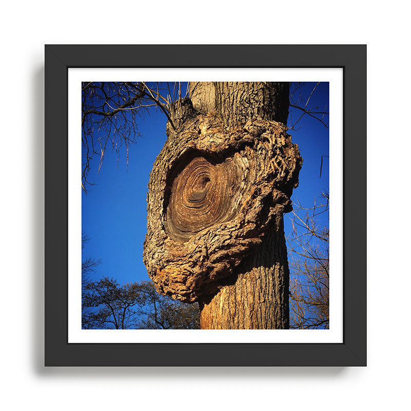 "Broken/hearted" by Maria Popova Framed Art Print