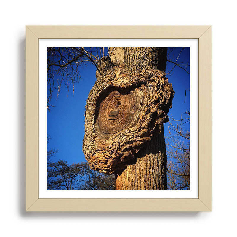 "Broken/hearted" by Maria Popova Framed Art Print