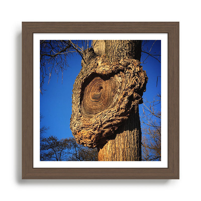 "Broken/hearted" by Maria Popova Framed Art Print