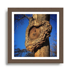 "Broken/hearted" by Maria Popova Framed Art Print