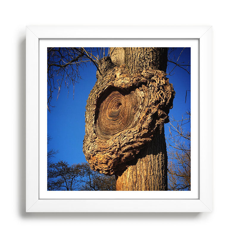 "Broken/hearted" by Maria Popova Framed Art Print