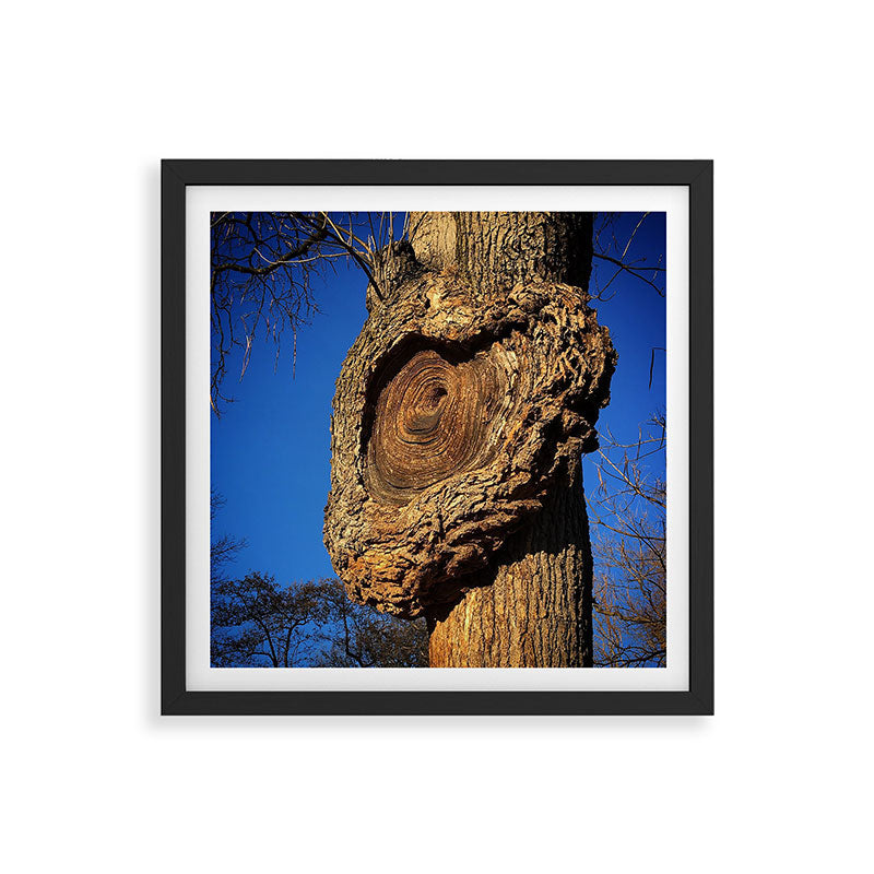 "Broken/hearted" by Maria Popova Framed Art Print