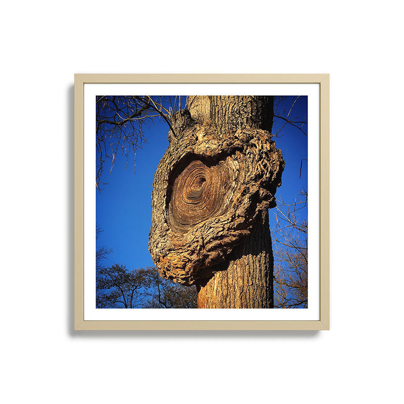 "Broken/hearted" by Maria Popova Framed Art Print