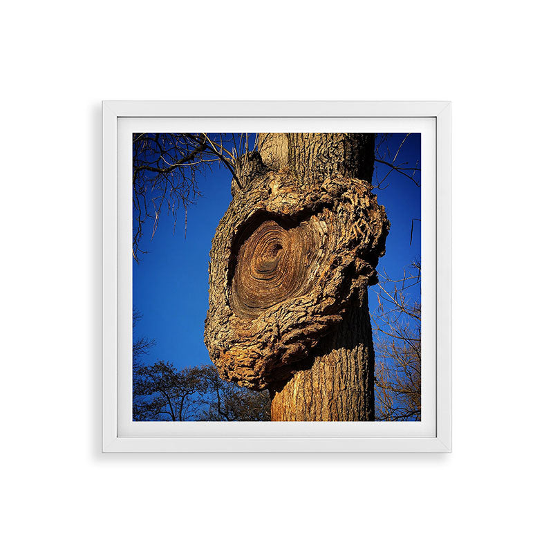 "Broken/hearted" by Maria Popova Framed Art Print