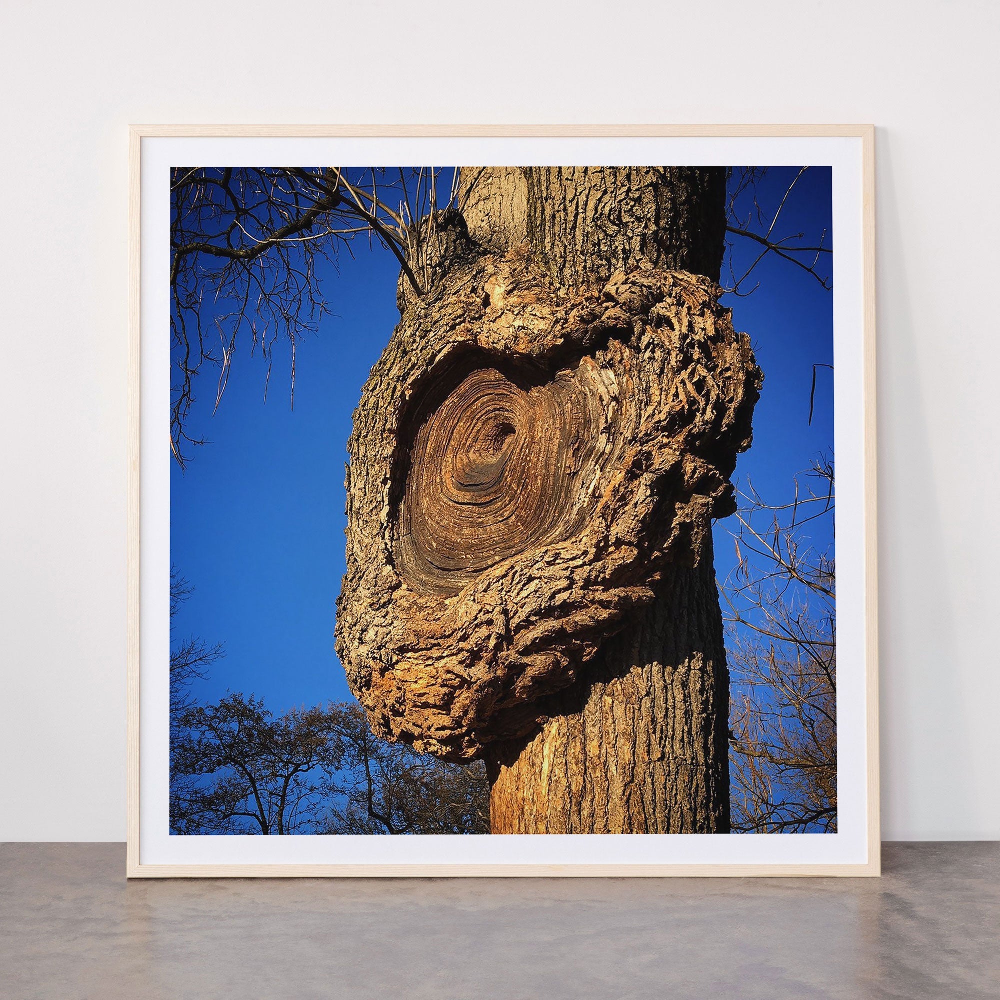 "Broken/hearted" by Maria Popova Framed Art Print