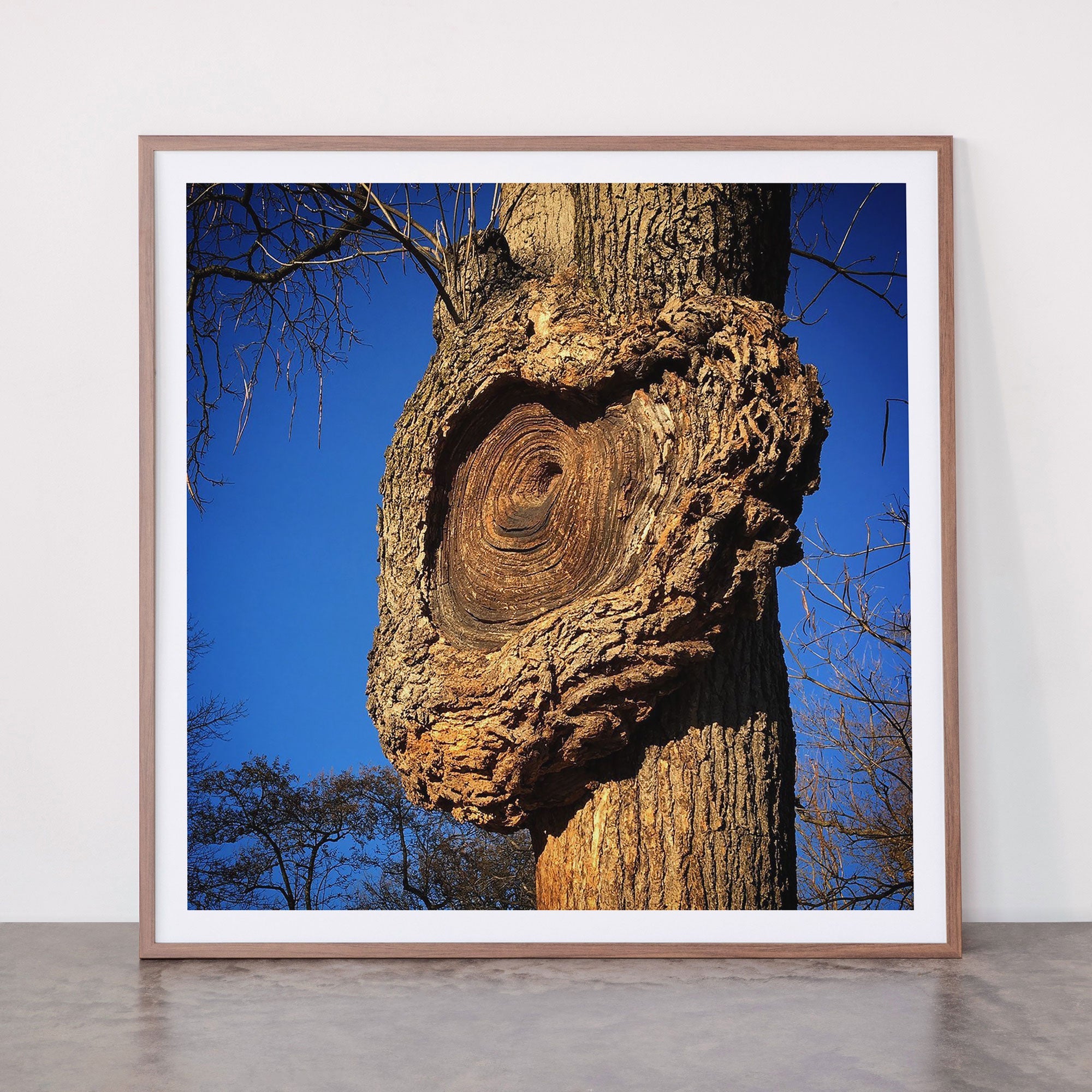 "Broken/hearted" by Maria Popova Framed Art Print