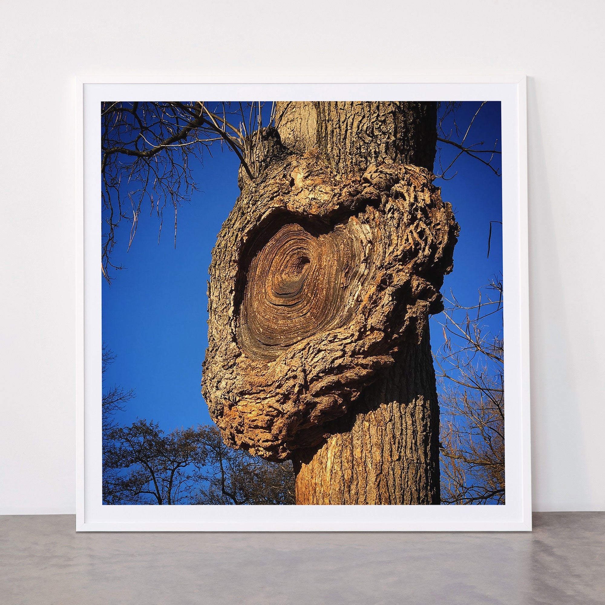 "Broken/hearted" by Maria Popova Framed Art Print