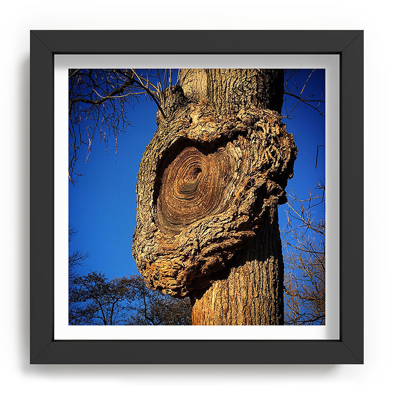 "Broken/hearted" by Maria Popova Framed Art Print
