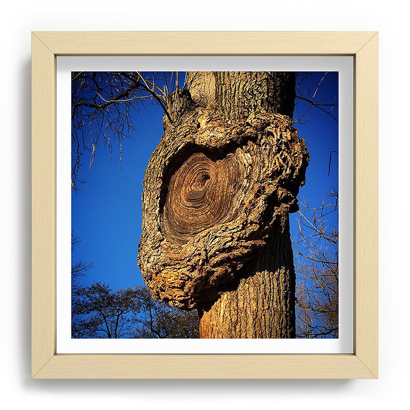 "Broken/hearted" by Maria Popova Framed Art Print