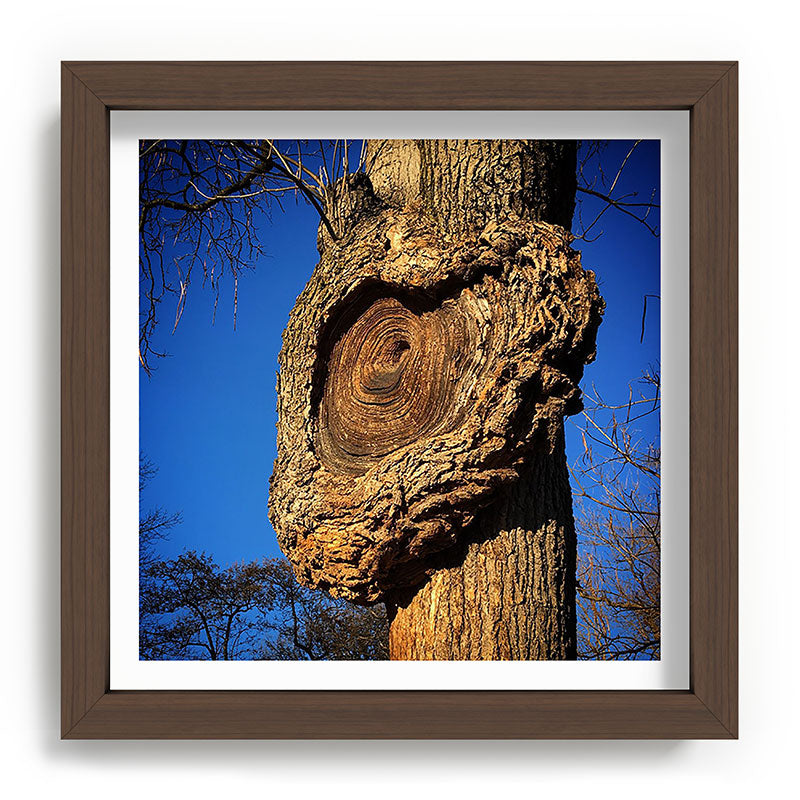 "Broken/hearted" by Maria Popova Framed Art Print