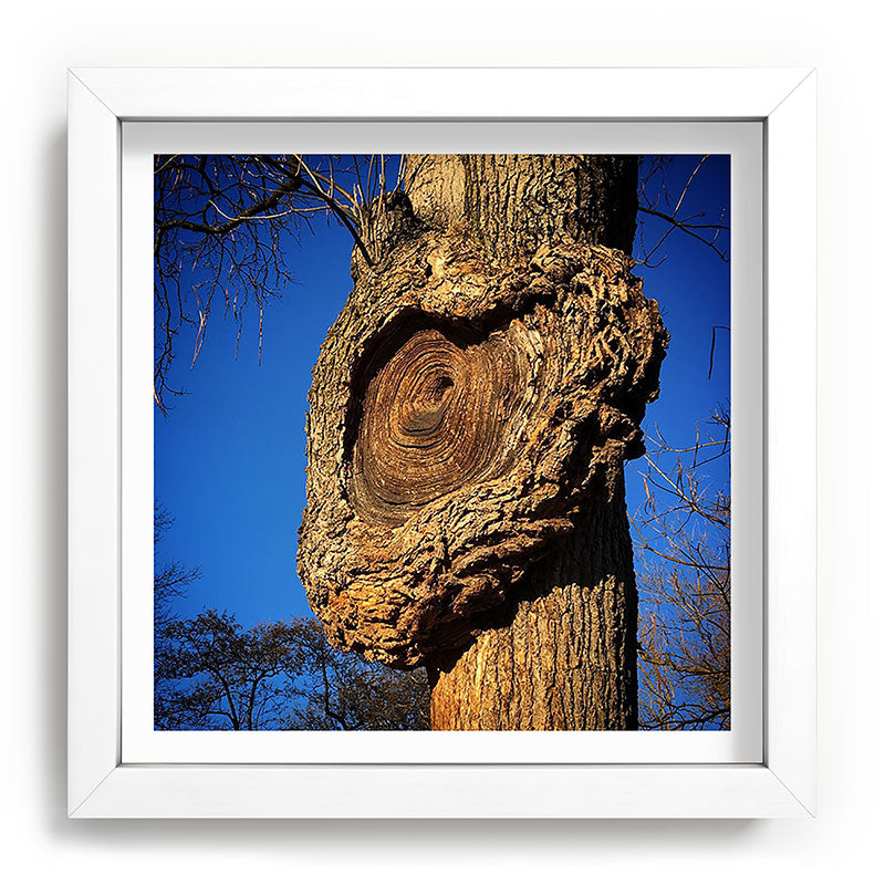"Broken/hearted" by Maria Popova Framed Art Print