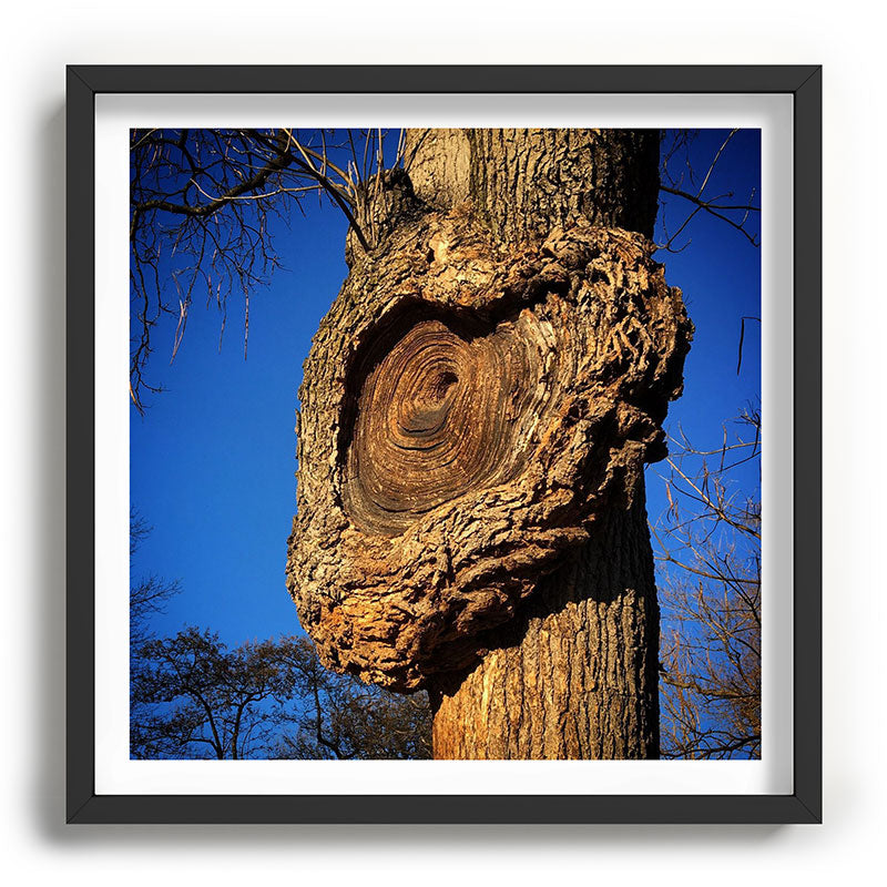 "Broken/hearted" by Maria Popova Framed Art Print