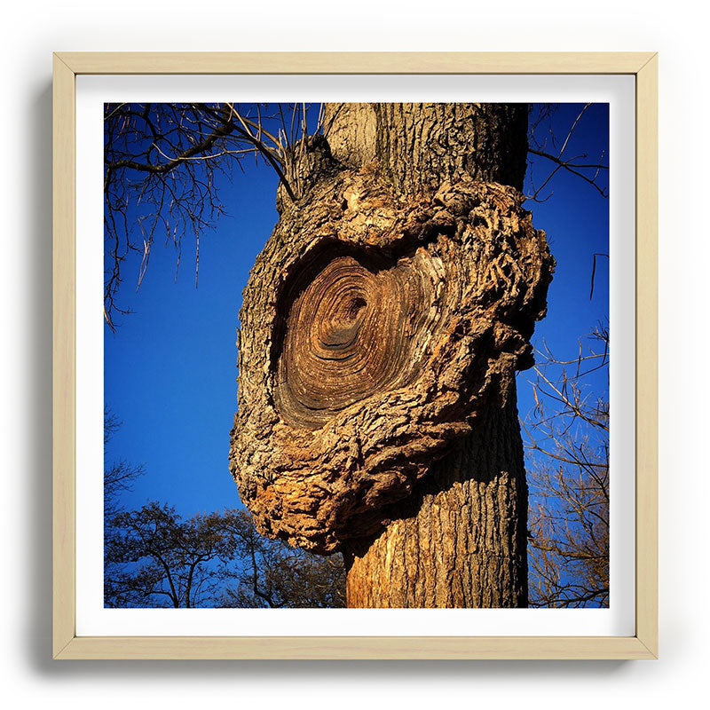 "Broken/hearted" by Maria Popova Framed Art Print