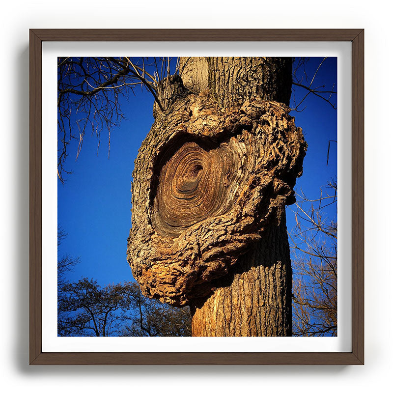 "Broken/hearted" by Maria Popova Framed Art Print