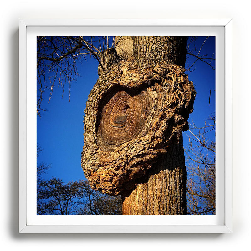 "Broken/hearted" by Maria Popova Framed Art Print