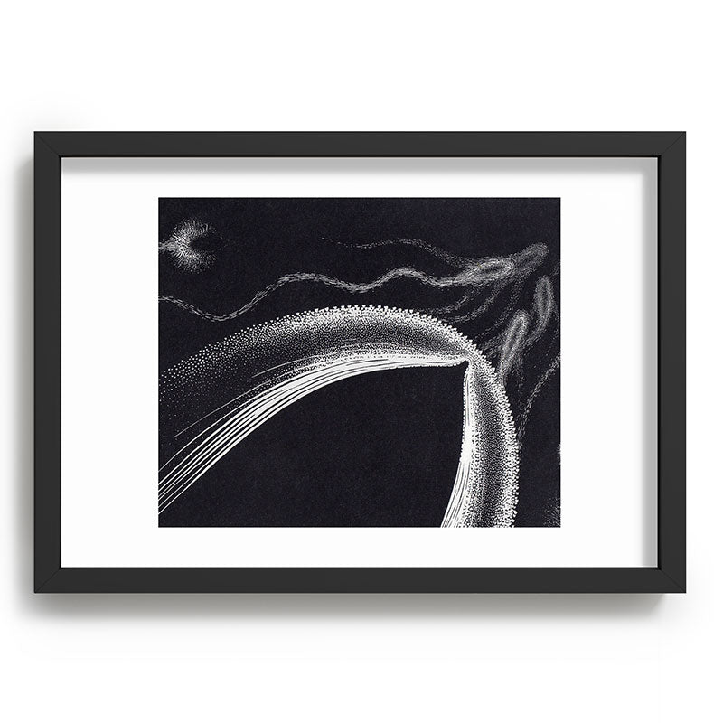 "Dolphins" by M.C. Escher Framed Art Print
