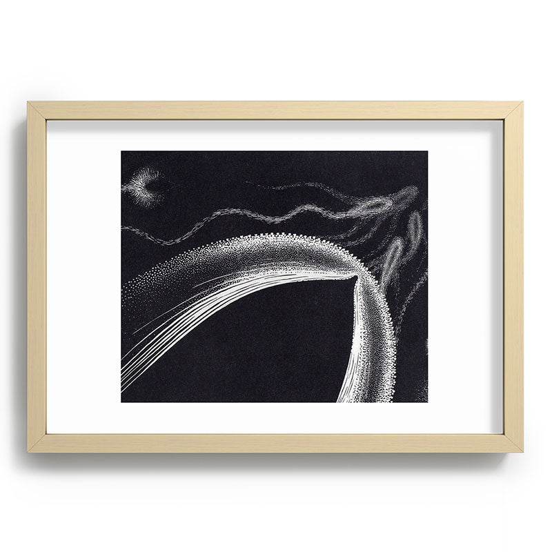 "Dolphins" by M.C. Escher Framed Art Print