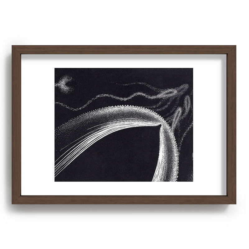 "Dolphins" by M.C. Escher Framed Art Print