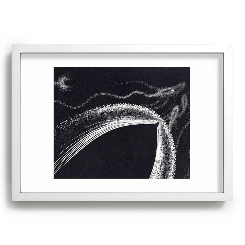 "Dolphins" by M.C. Escher Framed Art Print