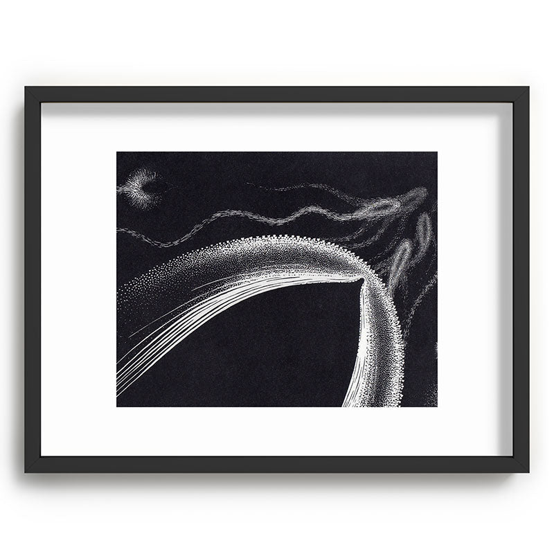 "Dolphins" by M.C. Escher Framed Art Print