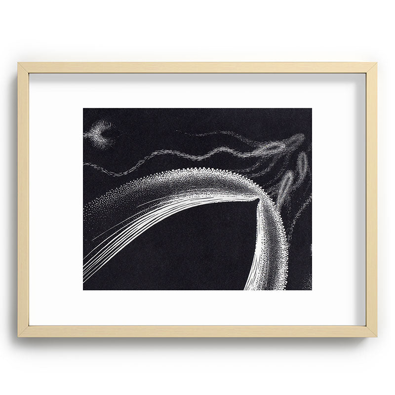 "Dolphins" by M.C. Escher Framed Art Print