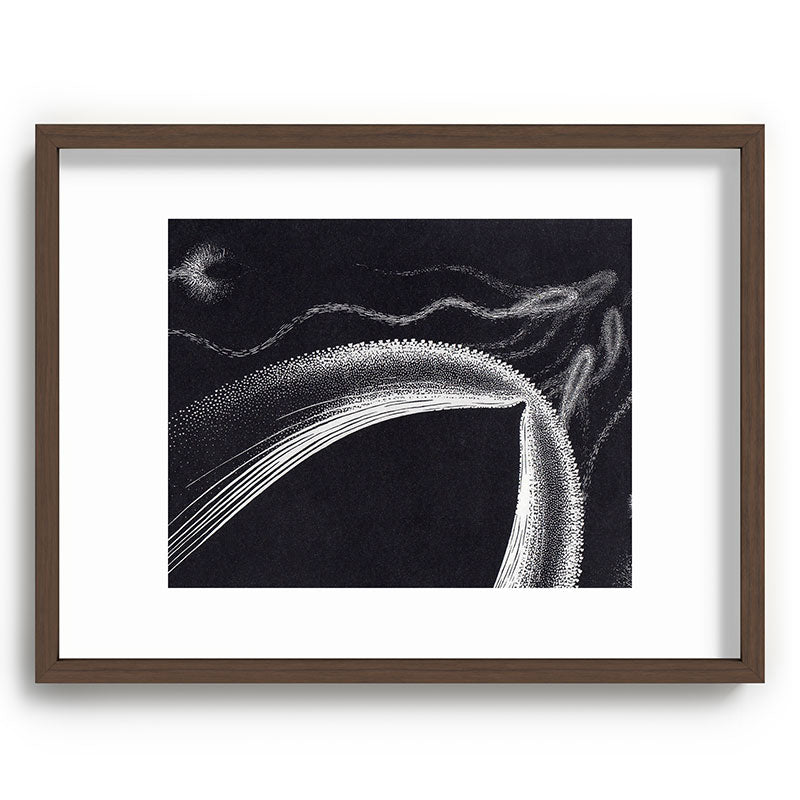 "Dolphins" by M.C. Escher Framed Art Print