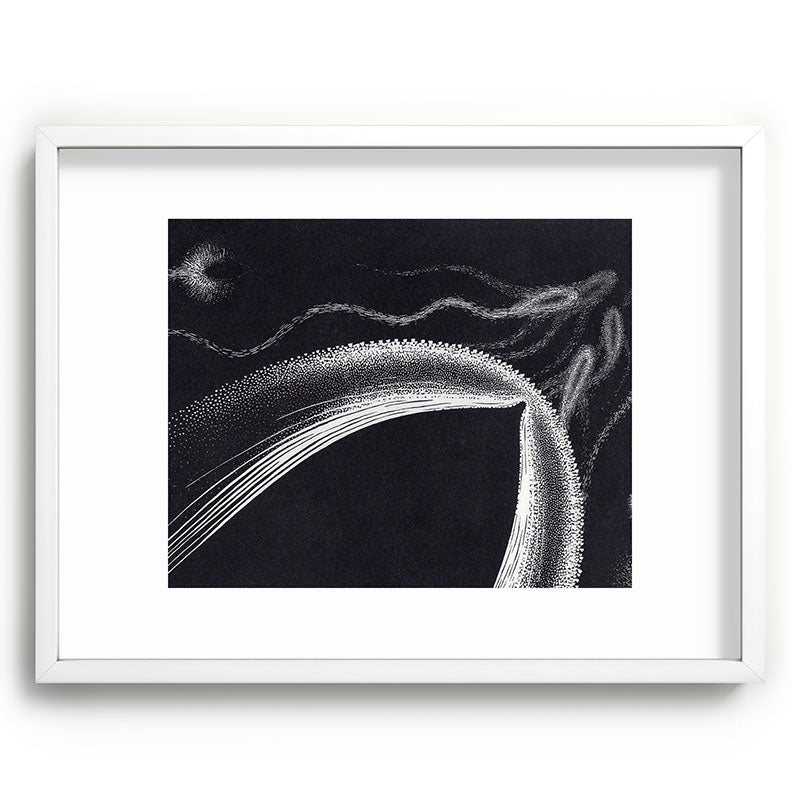 "Dolphins" by M.C. Escher Framed Art Print