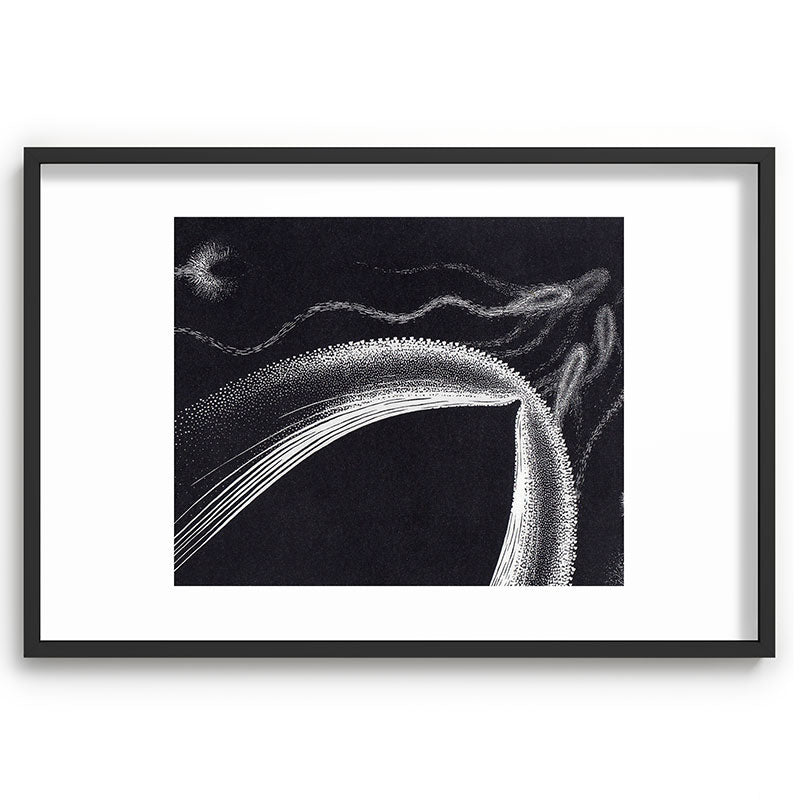 "Dolphins" by M.C. Escher Framed Art Print