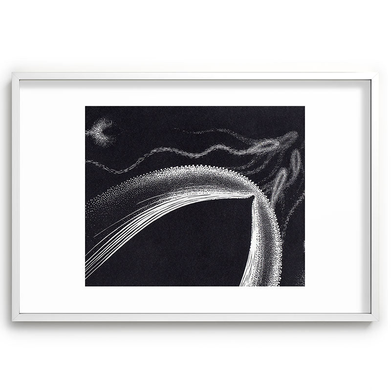 "Dolphins" by M.C. Escher Framed Art Print