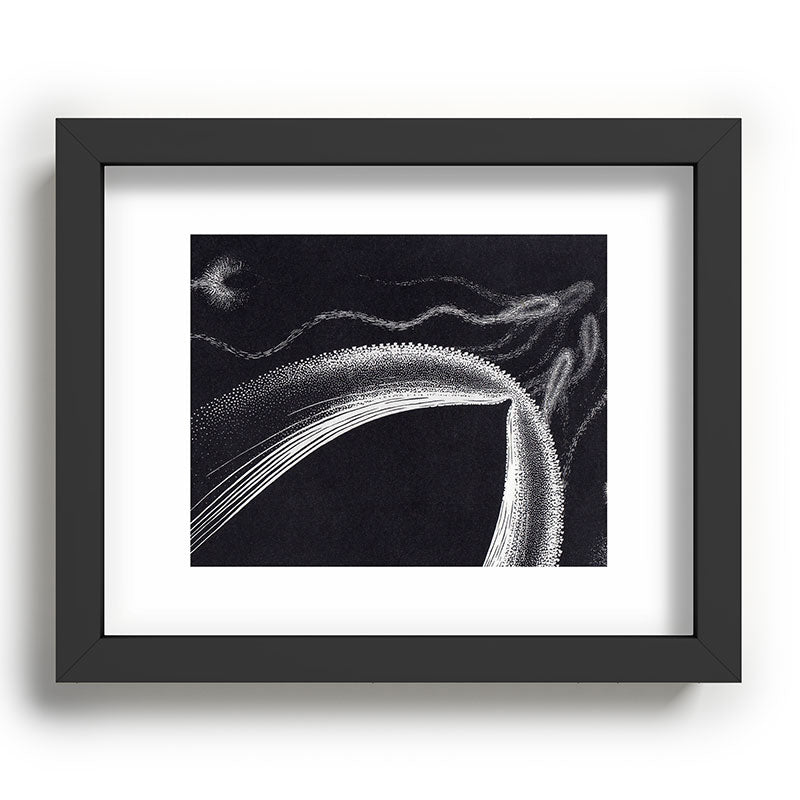 "Dolphins" by M.C. Escher Framed Art Print
