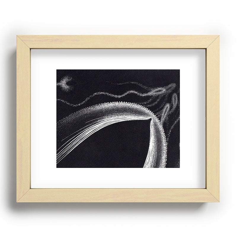 "Dolphins" by M.C. Escher Framed Art Print