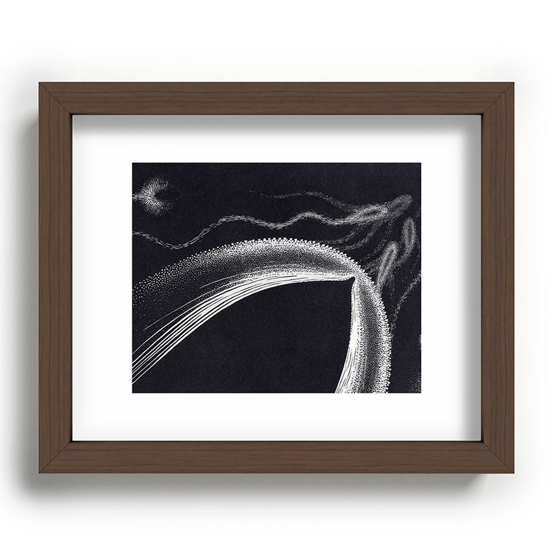 "Dolphins" by M.C. Escher Framed Art Print